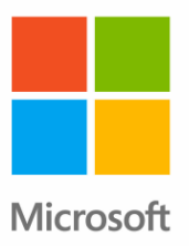 Microsoft icon